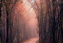 “京杭大运河”皮划艇马拉松系列赛总决赛收官中国新闻网.