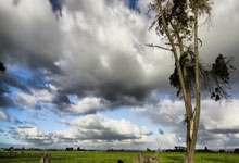 凯恩：最后的失球和伊藤的受伤令人恼火；很高兴能全取三分.