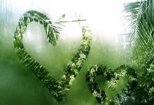 虎扑体育：印度羽毛球公开赛：我国羽坛一姐杨佳敏止步八强.