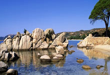 香港国际七人橄榄球赛收官 中国香港队斩获男女“银剑杯”赛冠军3-30 22：53.